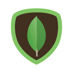 mongoDB